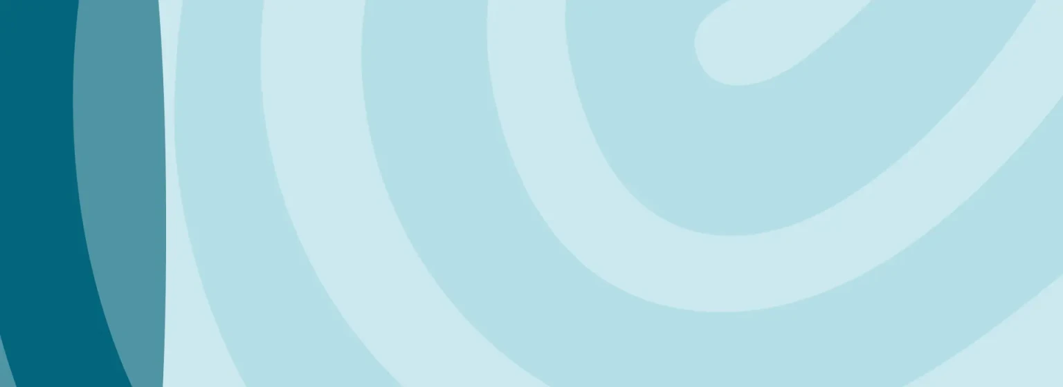banner-rendicion24 banner-rendicion24